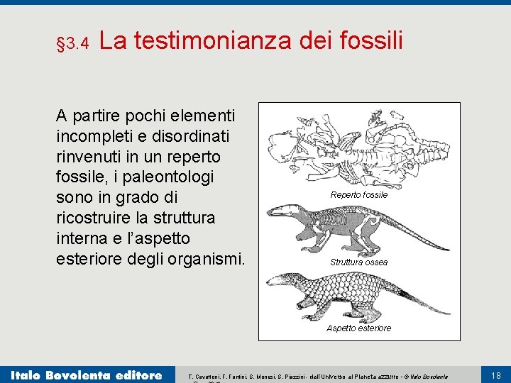§ 3. 4 La testimonianza dei fossili A partire pochi elementi incompleti e disordinati