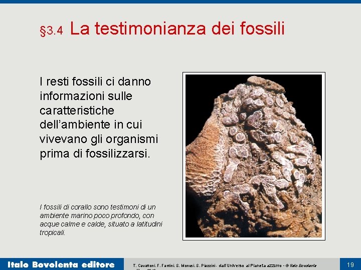 § 3. 4 La testimonianza dei fossili I resti fossili ci danno informazioni sulle