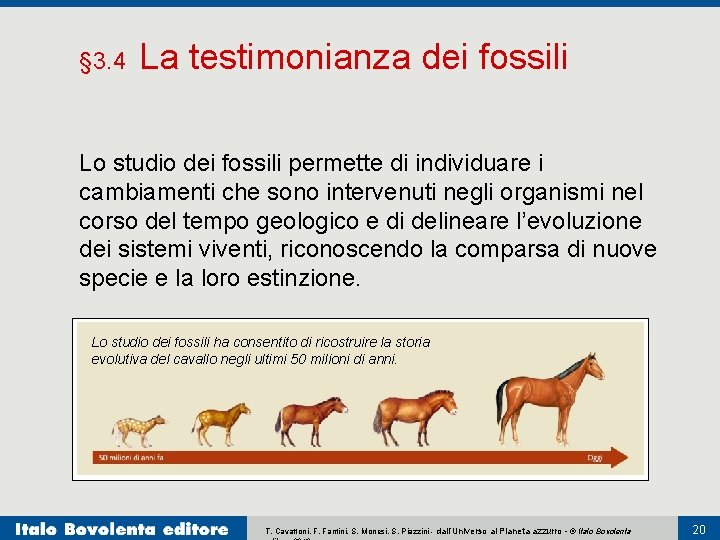 § 3. 4 La testimonianza dei fossili Lo studio dei fossili permette di individuare