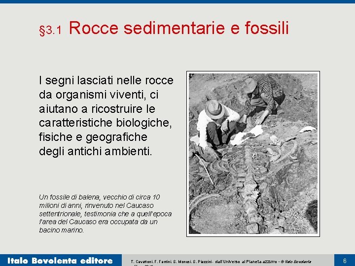 § 3. 1 Rocce sedimentarie e fossili I segni lasciati nelle rocce da organismi