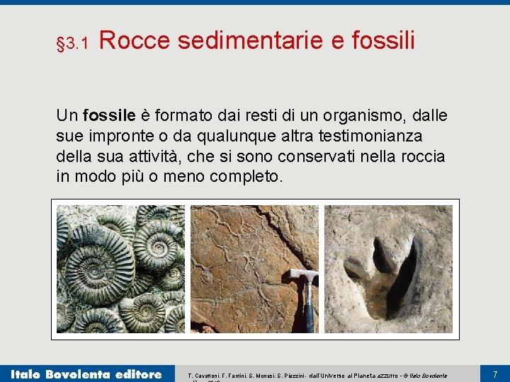 § 3. 1 Rocce sedimentarie e fossili Un fossile è formato dai resti di