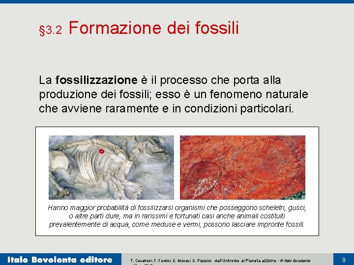 § 3. 2 Formazione dei fossili La fossilizzazione è il processo che porta alla