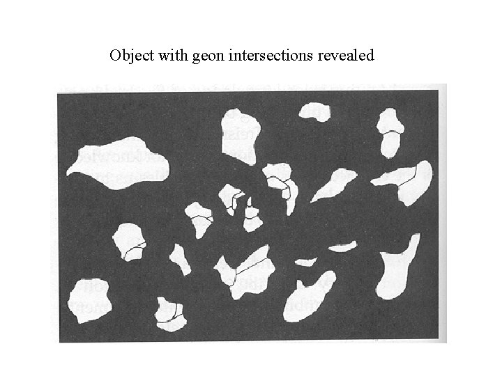 Object with geon intersections revealed 