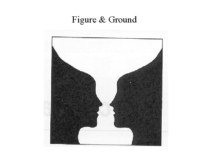 Figure & Ground 