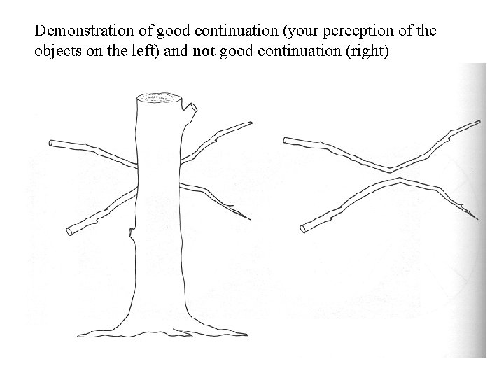 Demonstration of good continuation (your perception of the objects on the left) and not