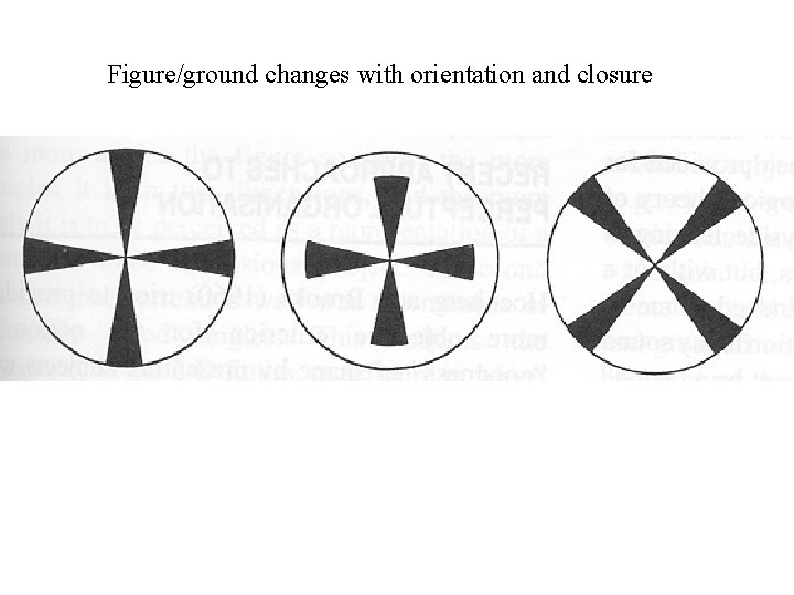 Figure/ground changes with orientation and closure 