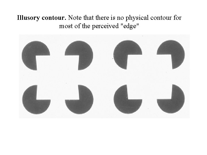 Illusory contour. Note that there is no physical contour for most of the perceived