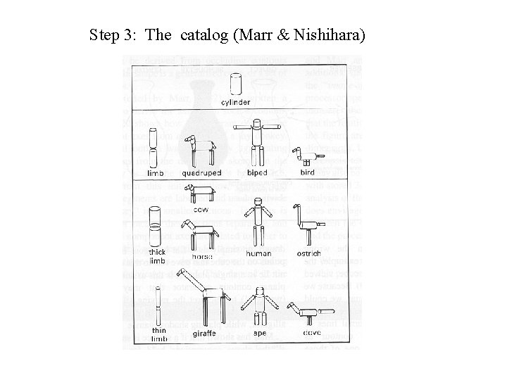 Step 3: The catalog (Marr & Nishihara) 