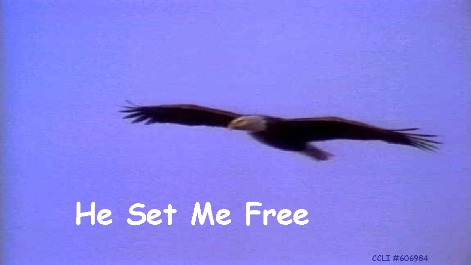 He Set Me Free CCLI #606984 