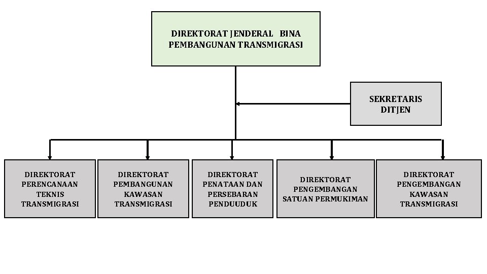 DIREKTORAT JENDERAL BINA PEMBANGUNAN TRANSMIGRASI SEKRETARIS DITJEN DIREKTORAT PERENCANAAN TEKNIS TRANSMIGRASI DIREKTORAT PEMBANGUNAN KAWASAN