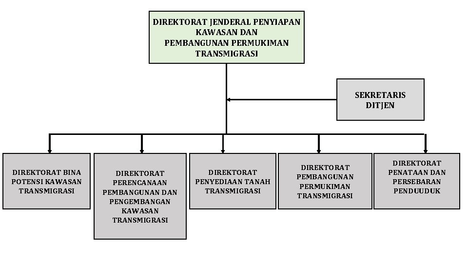 DIREKTORAT JENDERAL PENYIAPAN KAWASAN DAN PEMBANGUNAN PERMUKIMAN TRANSMIGRASI SEKRETARIS DITJEN DIREKTORAT BINA POTENSI KAWASAN