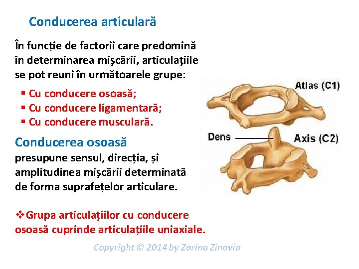 Conducerea articulară În funcție de factorii care predomină în determinarea mișcării, articulațiile se pot