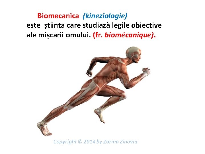  Biomecanica (kineziologie) este știinta care studiază legile obiective ale mișcarii omului. (fr. biomécanique).
