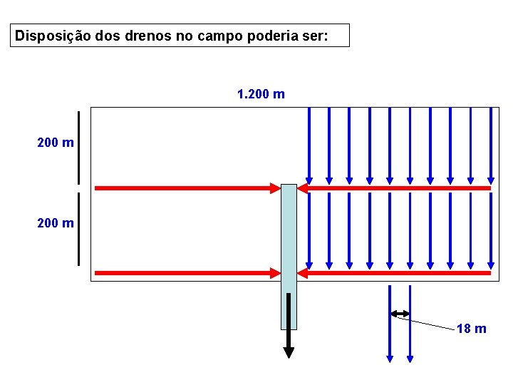 Disposição dos drenos no campo poderia ser: 1. 200 m 18 m 