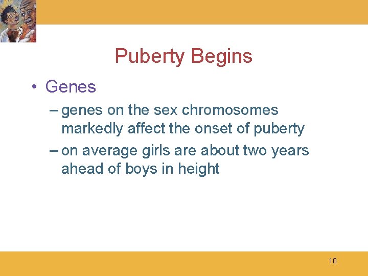 Puberty Begins • Genes – genes on the sex chromosomes markedly affect the onset