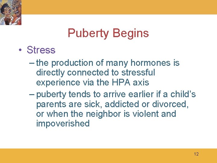 Puberty Begins • Stress – the production of many hormones is directly connected to