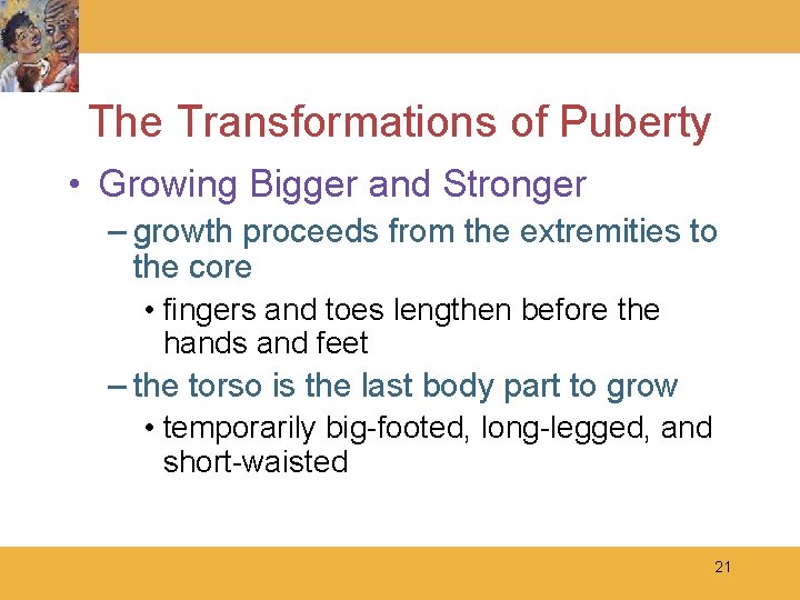 The Transformations of Puberty • Growing Bigger and Stronger – growth proceeds from the