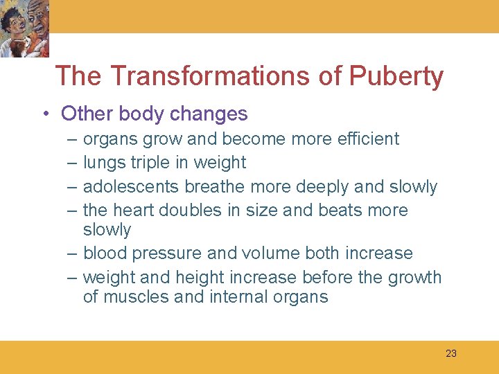 The Transformations of Puberty • Other body changes – organs grow and become more