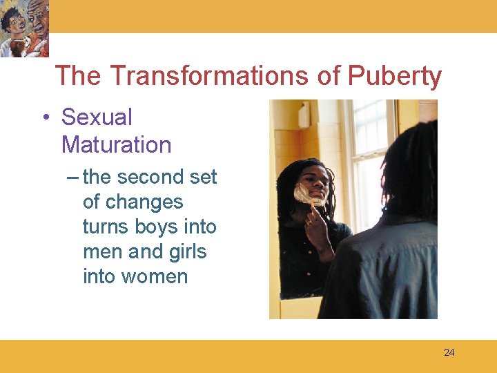 The Transformations of Puberty • Sexual Maturation – the second set of changes turns