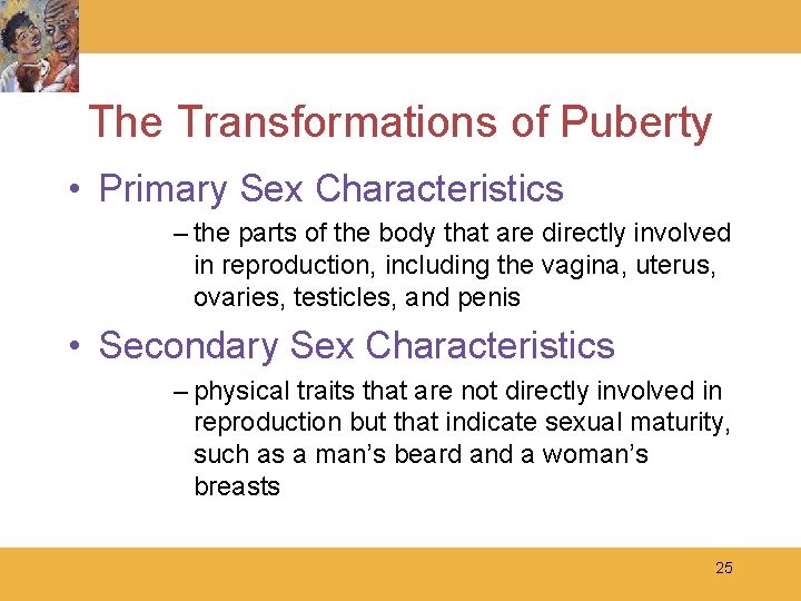 The Transformations of Puberty • Primary Sex Characteristics – the parts of the body