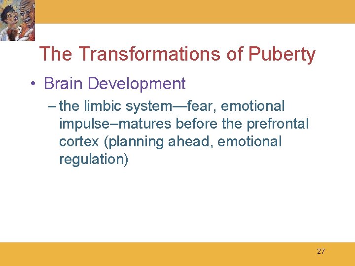 The Transformations of Puberty • Brain Development – the limbic system—fear, emotional impulse–matures before