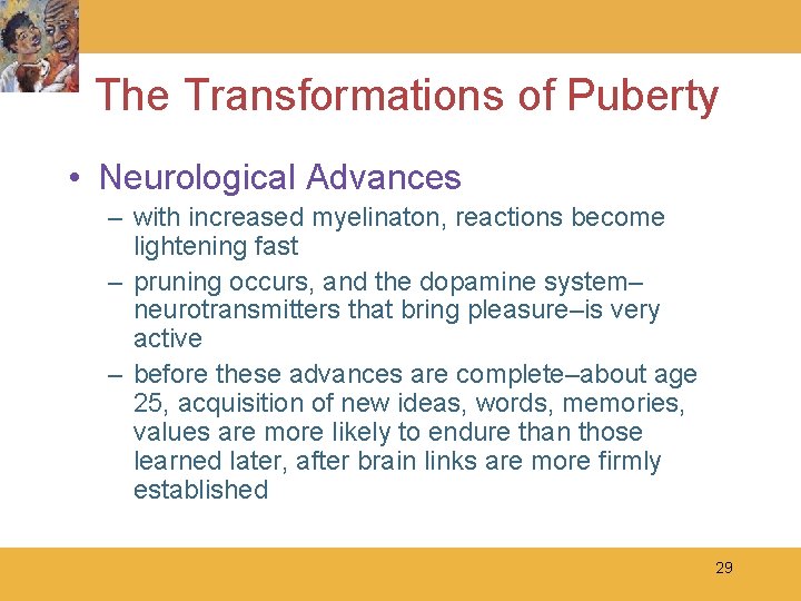 The Transformations of Puberty • Neurological Advances – with increased myelinaton, reactions become lightening