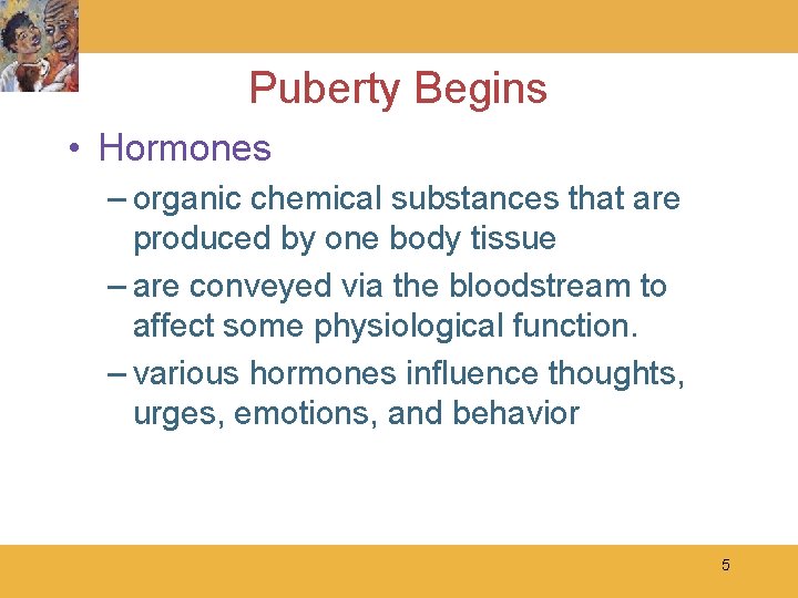 Puberty Begins • Hormones – organic chemical substances that are produced by one body