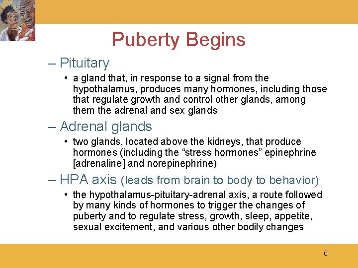 Puberty Begins – Pituitary • a gland that, in response to a signal from