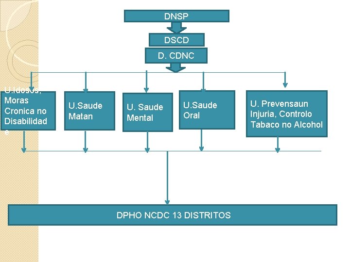 DNSP DSCD D. CDNC U. Idosos, Moras Cronica no Disabilidad e U. Saude Matan