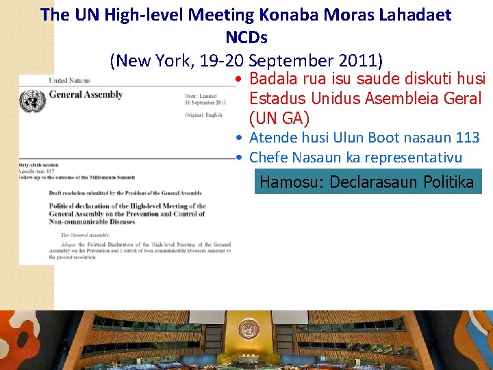 The UN High-level Meeting Konaba Moras Lahadaet NCDs (New York, 19 -20 September 2011)
