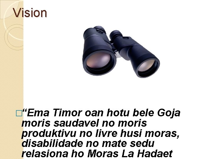 Vision �“Ema Timor oan hotu bele Goja moris saudavel no moris produktivu no livre