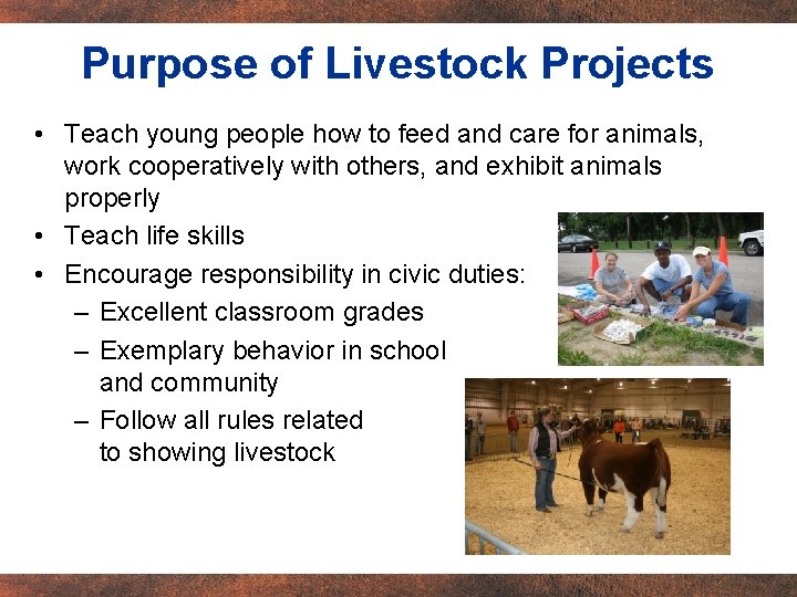 Purpose of Livestock Projects • Teach young people how to feed and care for
