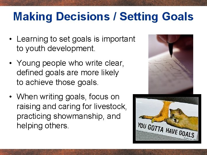 Making Decisions / Setting Goals • Learning to set goals is important to youth