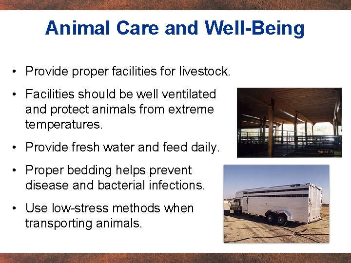 Animal Care and Well-Being • Provide proper facilities for livestock. • Facilities should be