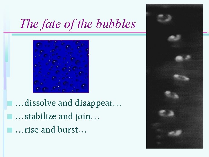 The fate of the bubbles …dissolve and disappear… n …stabilize and join… n …rise