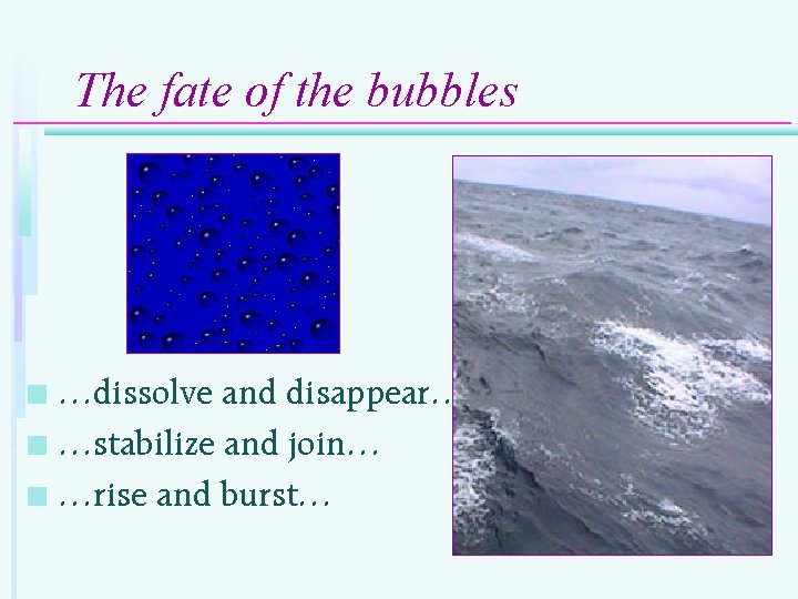 The fate of the bubbles …dissolve and disappear… n …stabilize and join… n …rise