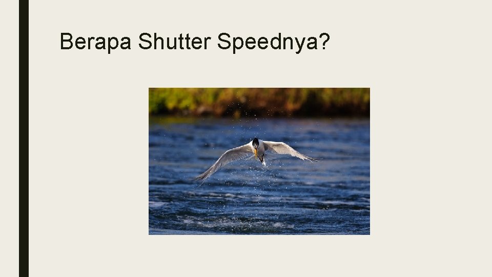 Berapa Shutter Speednya? Berapa Shutter Speednya?