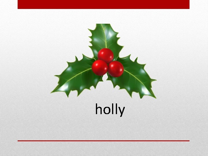 holly 