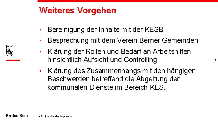 Weiteres Vorgehen • Bereinigung der Inhalte mit der KESB • Besprechung mit dem Verein