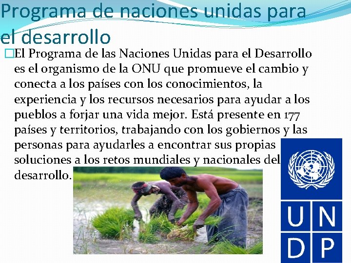 Programa de naciones unidas para el desarrollo �El Programa de las Naciones Unidas para