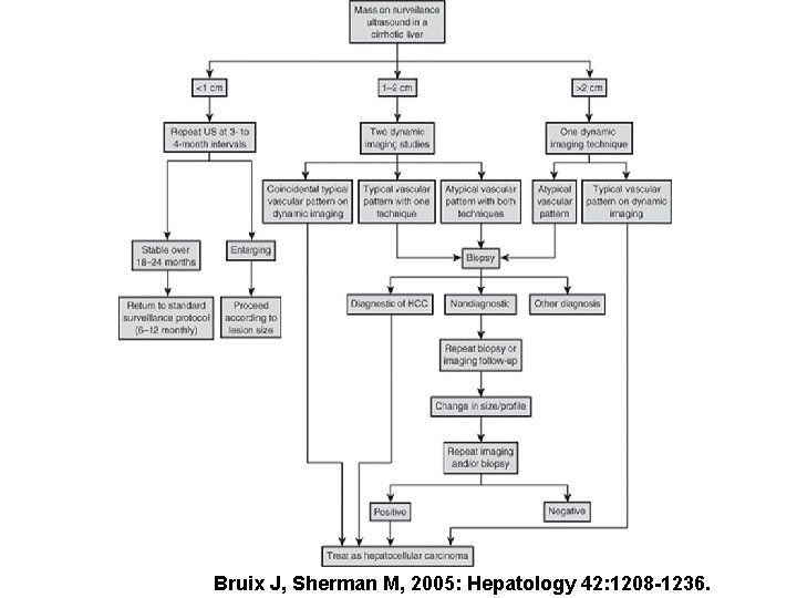 Bruix J, Sherman M, 2005: Hepatology 42: 1208 -1236. 