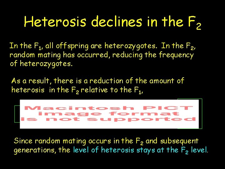 Heterosis declines in the F 2 In the F 1, all offspring are heterozygotes.