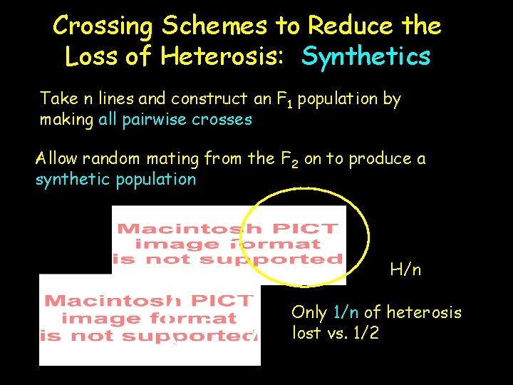 Crossing Schemes to Reduce the Loss of Heterosis: Synthetics Take n lines and construct