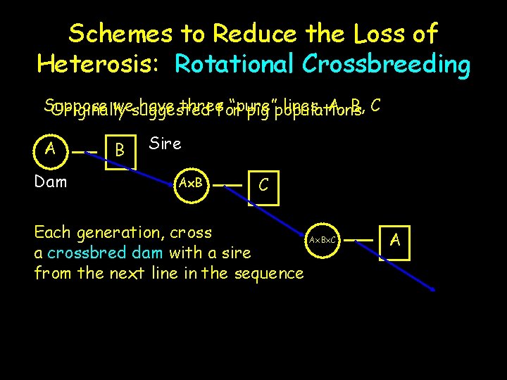 Schemes to Reduce the Loss of Heterosis: Rotational Crossbreeding Suppose wesuggested have threefor “pure”