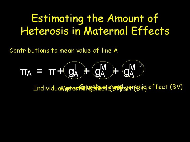 Estimating the Amount of Heterosis in Maternal Effects Contributions to mean value of line