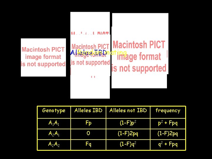 Random Alleles IBDmating Genotype Alleles IBD Alleles not IBD frequency A 1 Fp (1