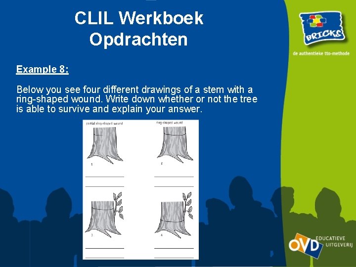CLIL Werkboek Opdrachten Example 8: Below you see four different drawings of a stem