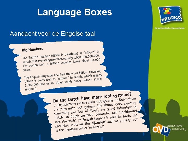 Language Boxes Aandacht voor de Engelse taal 
