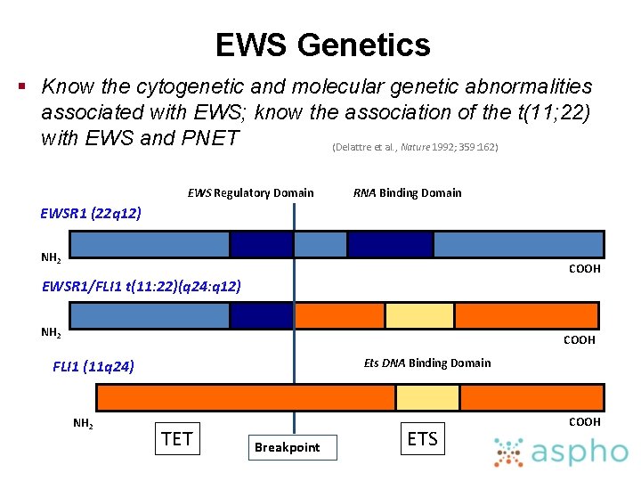 EWS Genetics § Know the cytogenetic and molecular genetic abnormalities associated with EWS; know