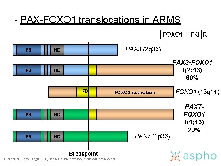 - PAX-FOXO 1 translocations in ARMS FOXO 1 = FKHR PB PB PAX 3